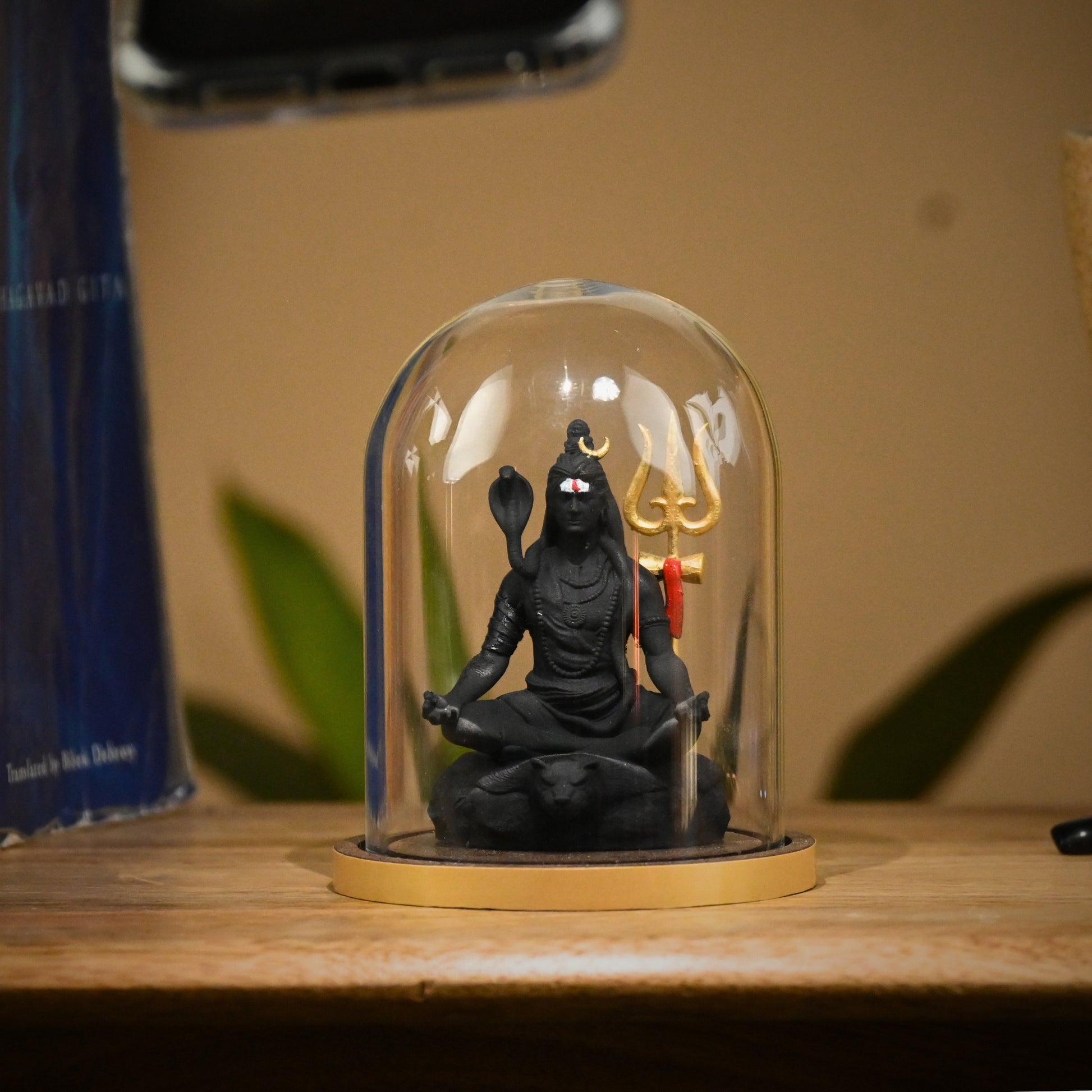 TAPASVI MAHADEV