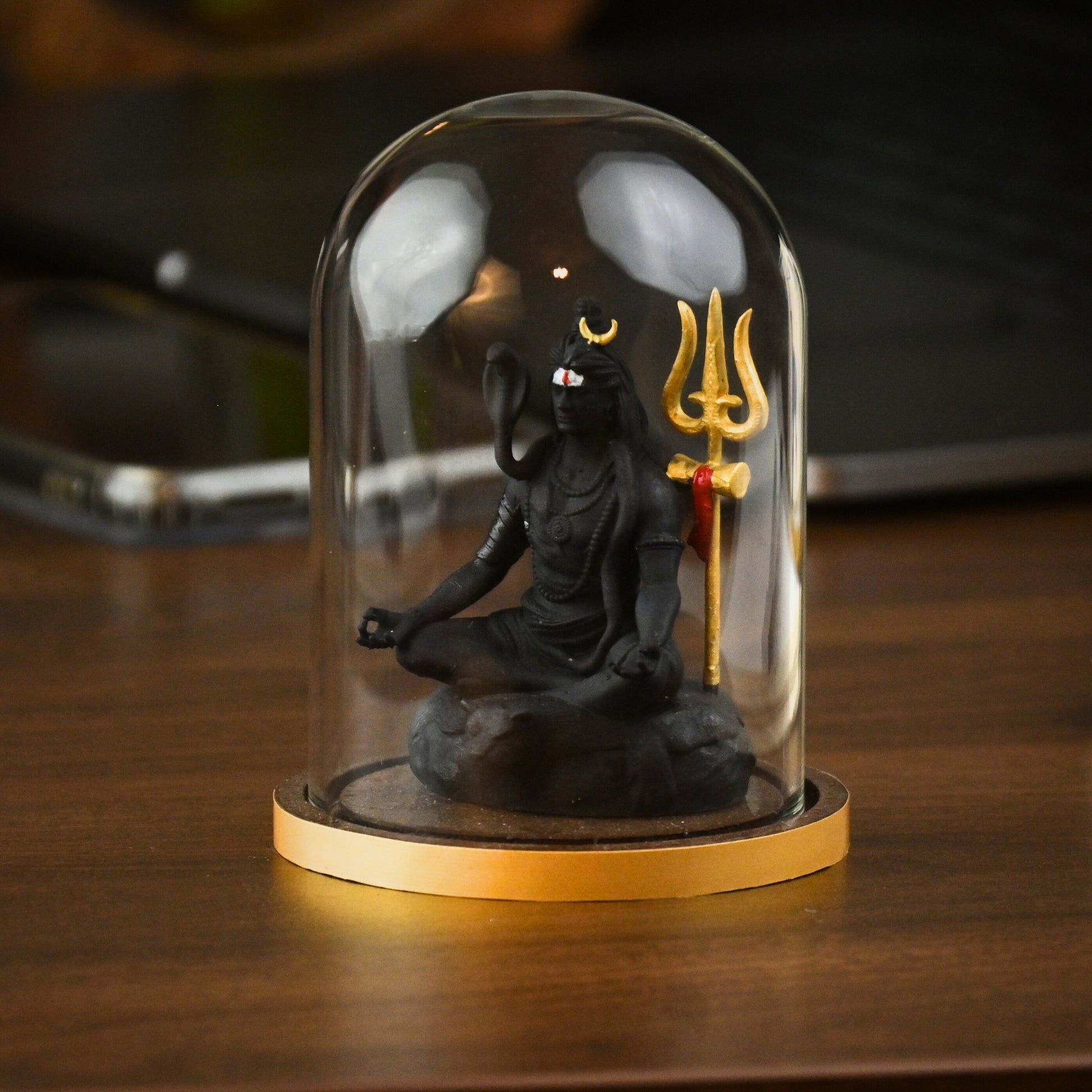 TAPASVI MAHADEV