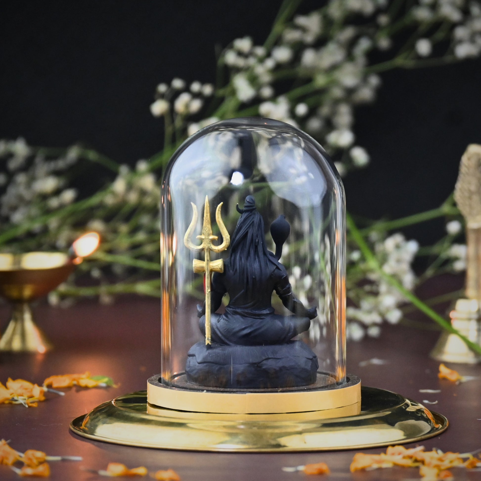 TAPASVI MAHADEV