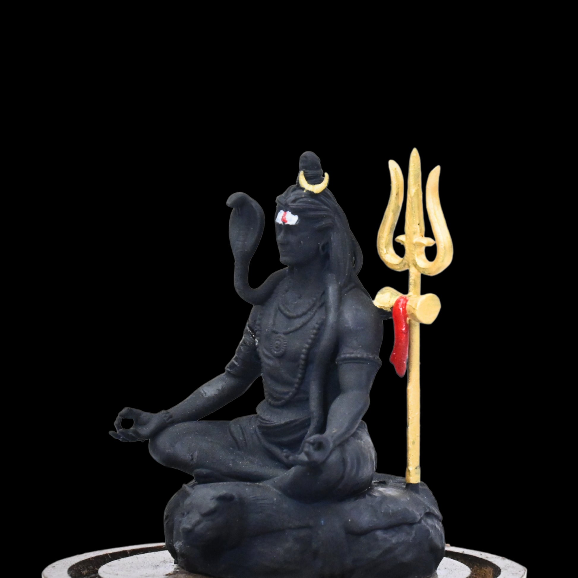 TAPASVI MAHADEV