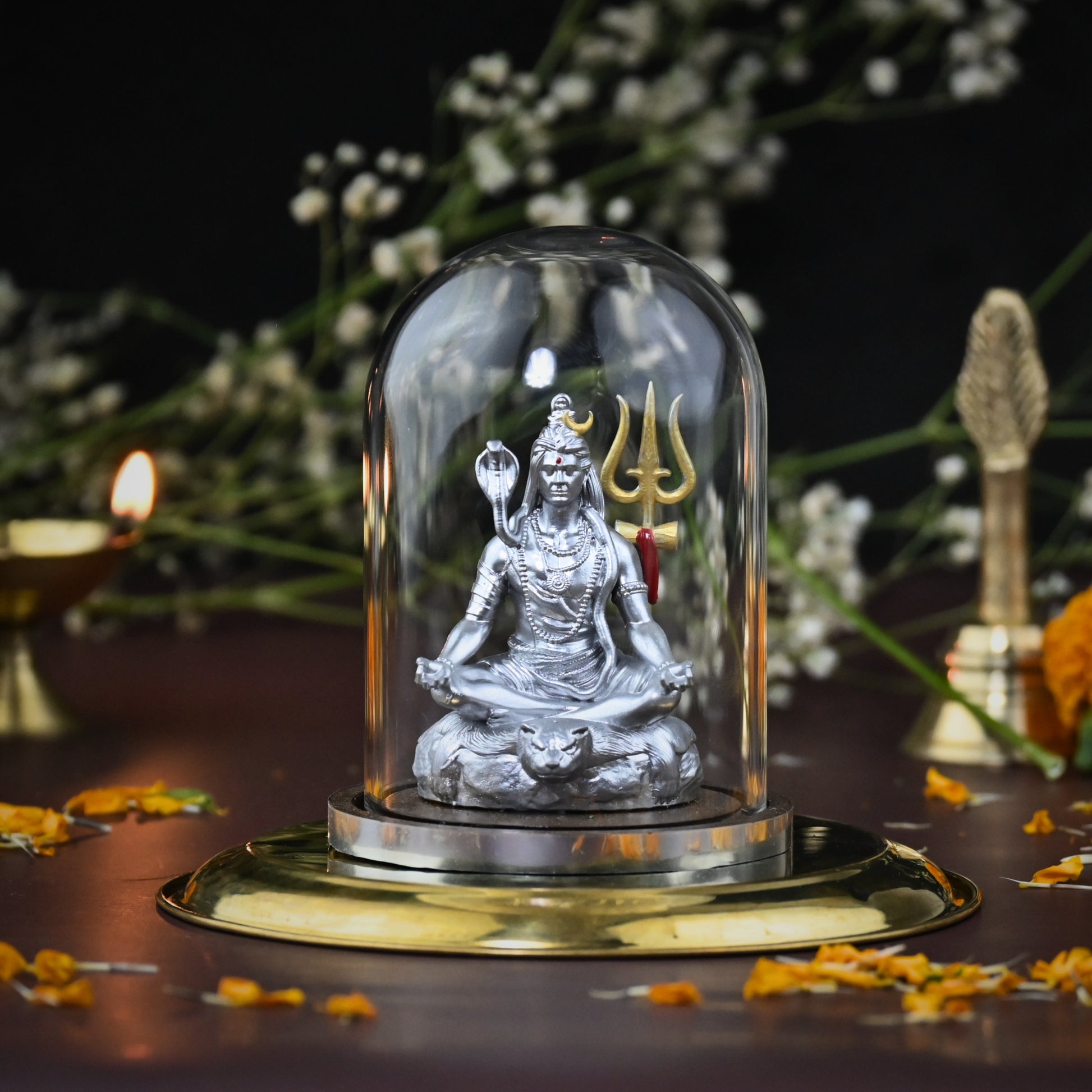 TAPASVI MAHADEV