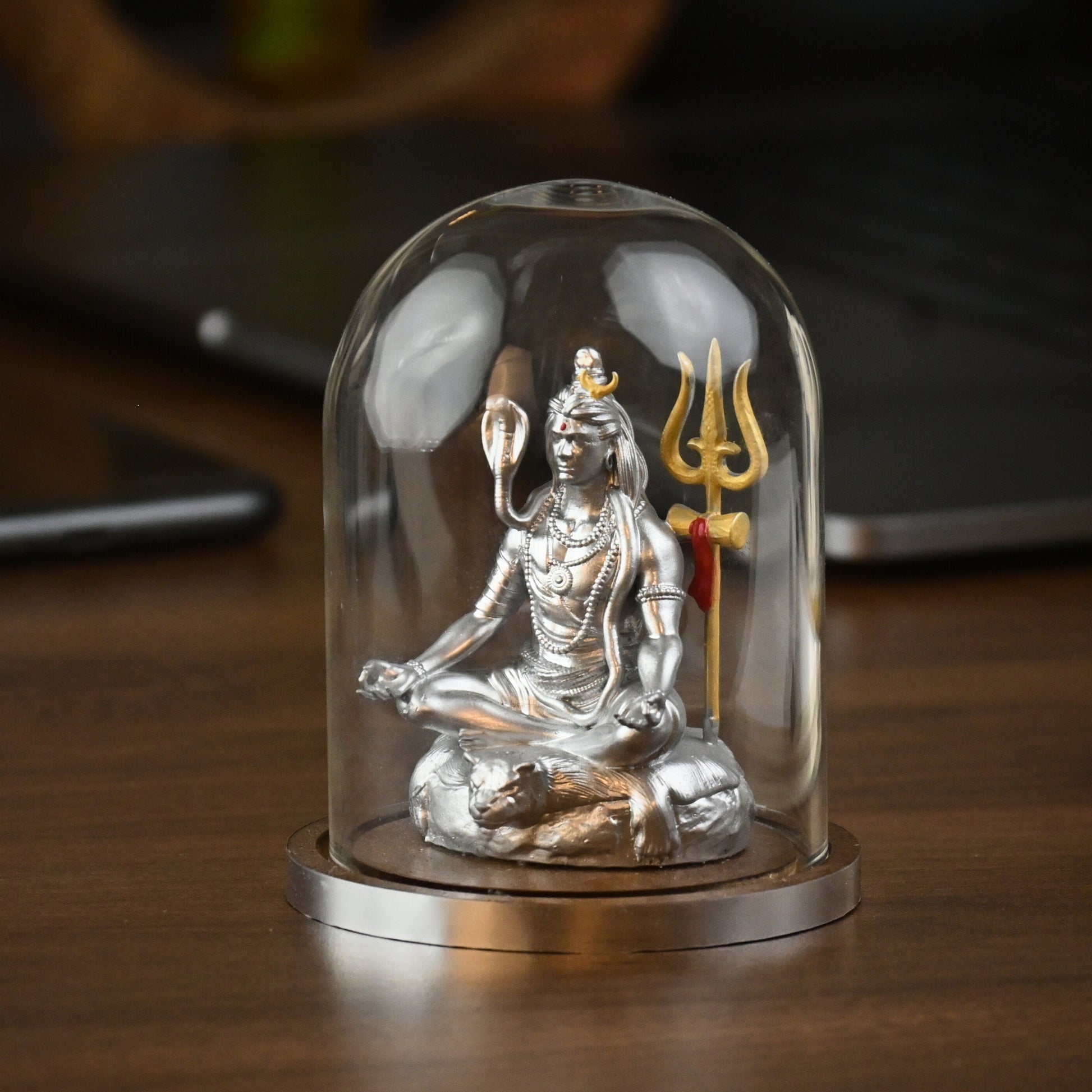 TAPASVI MAHADEV