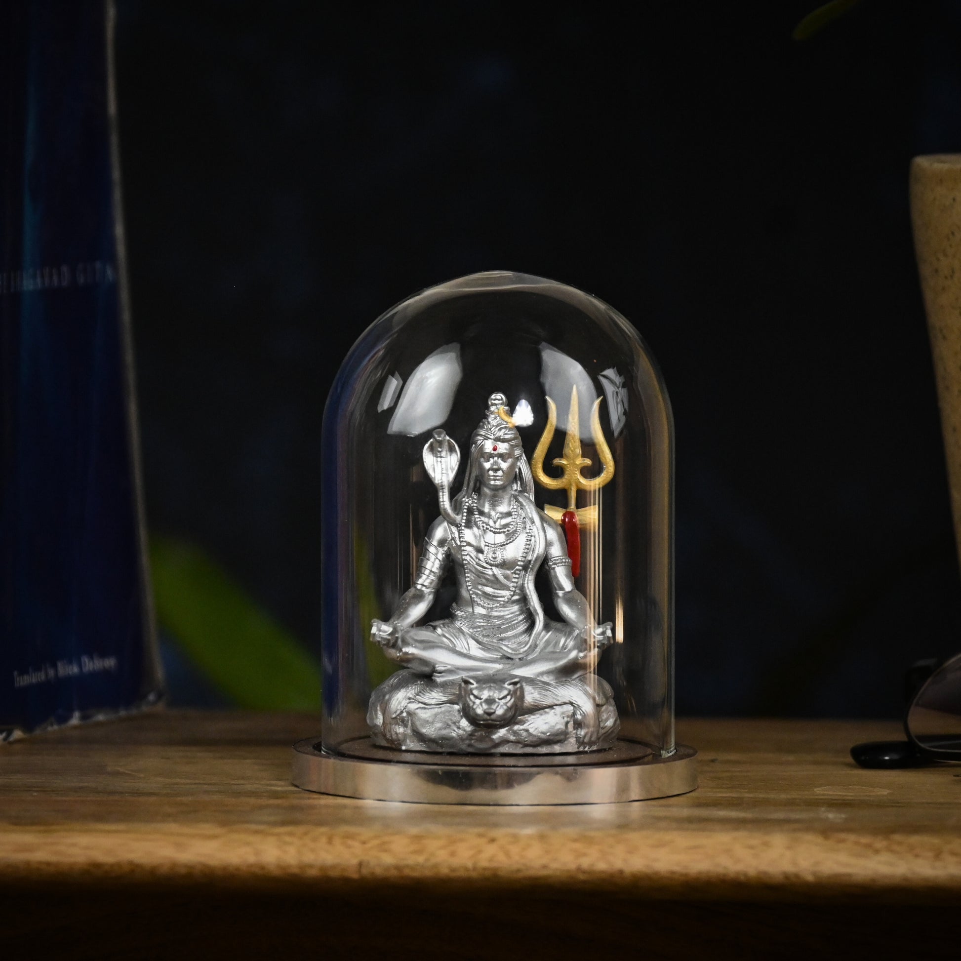 TAPASVI MAHADEV