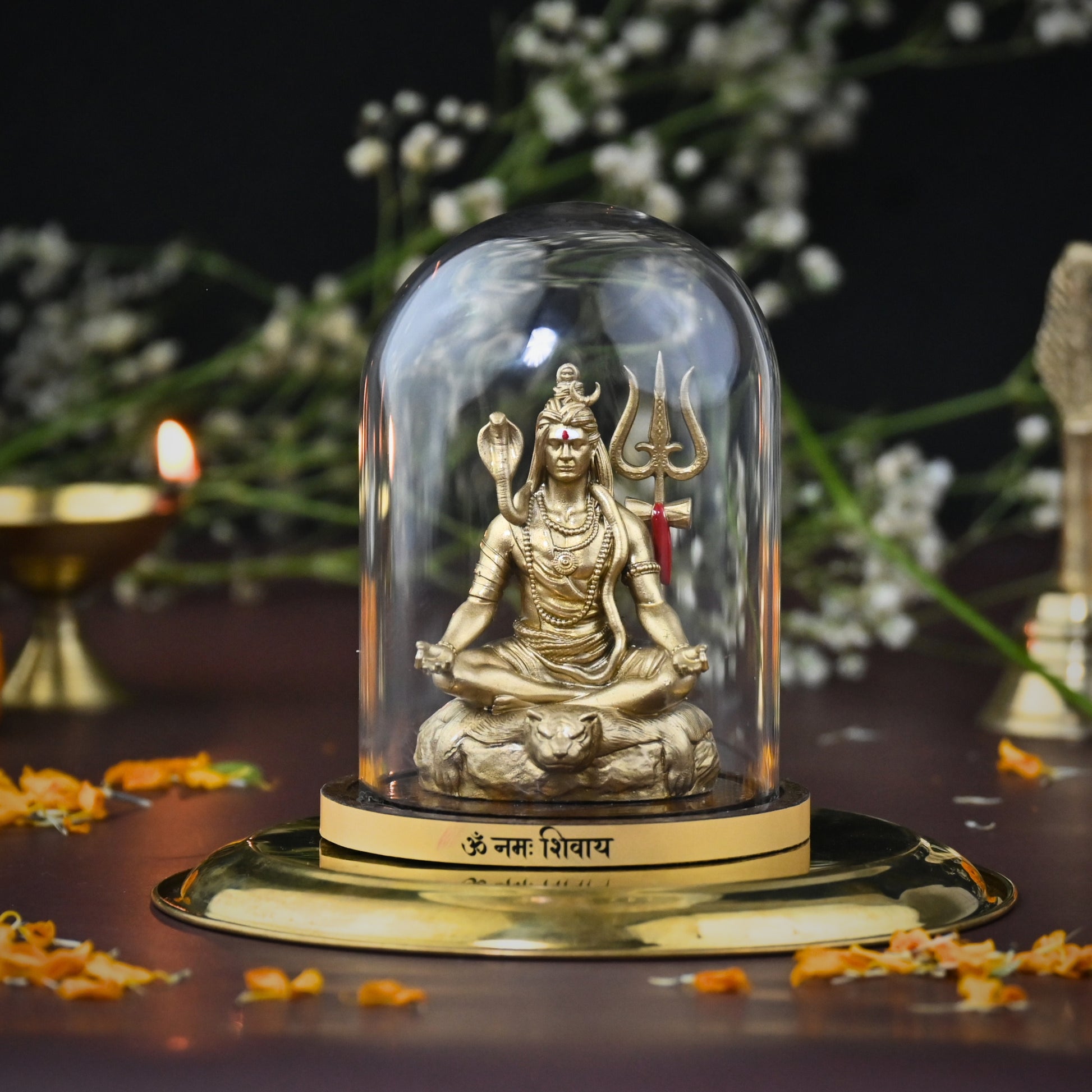 TAPASVI MAHADEV