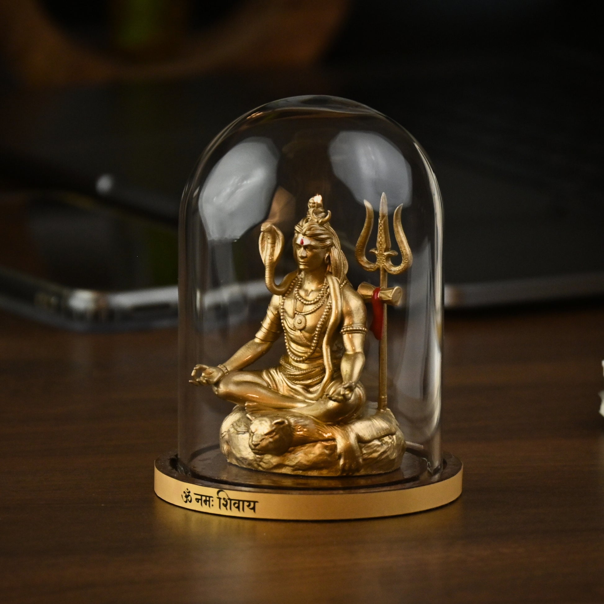 TAPASVI MAHADEV