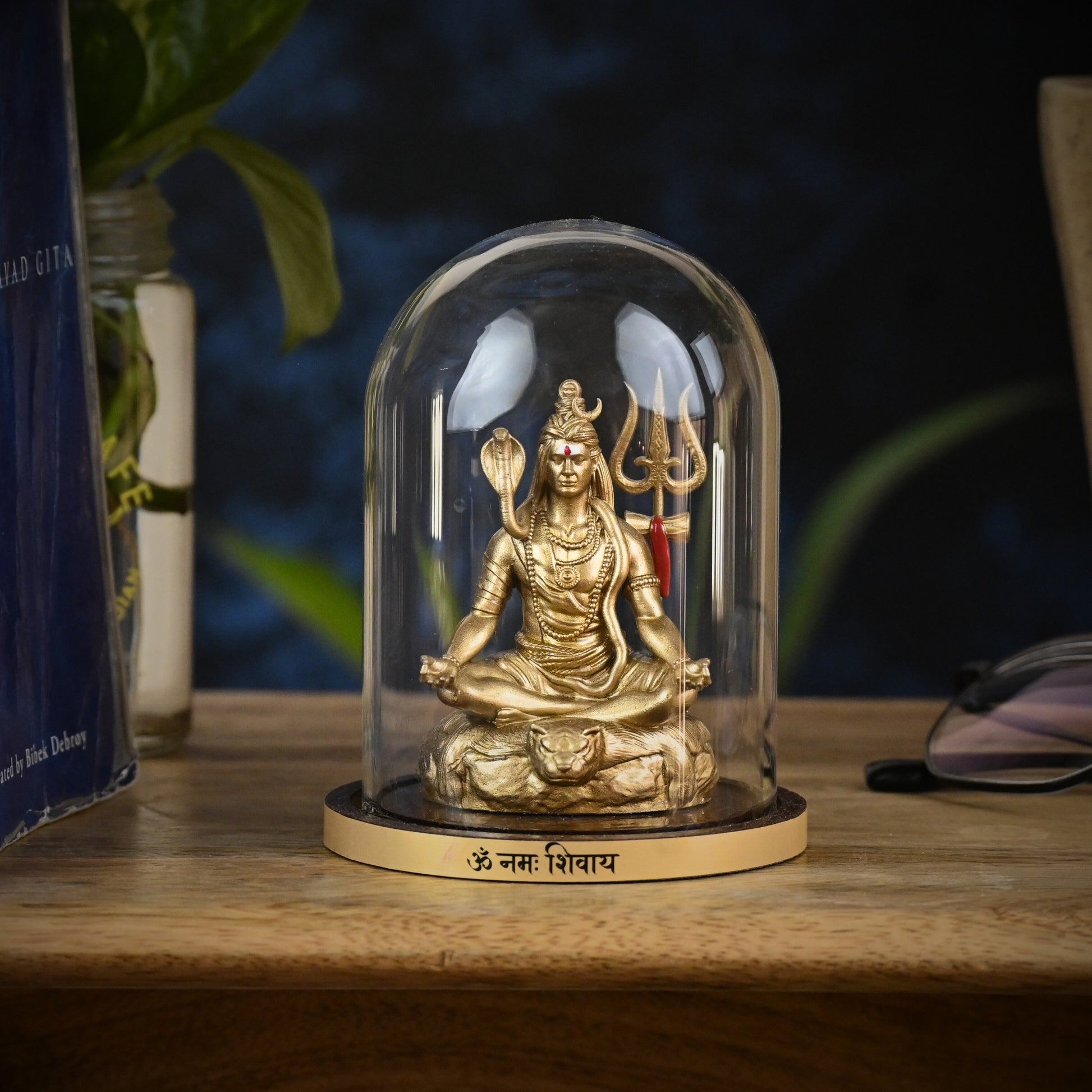 TAPASVI MAHADEV