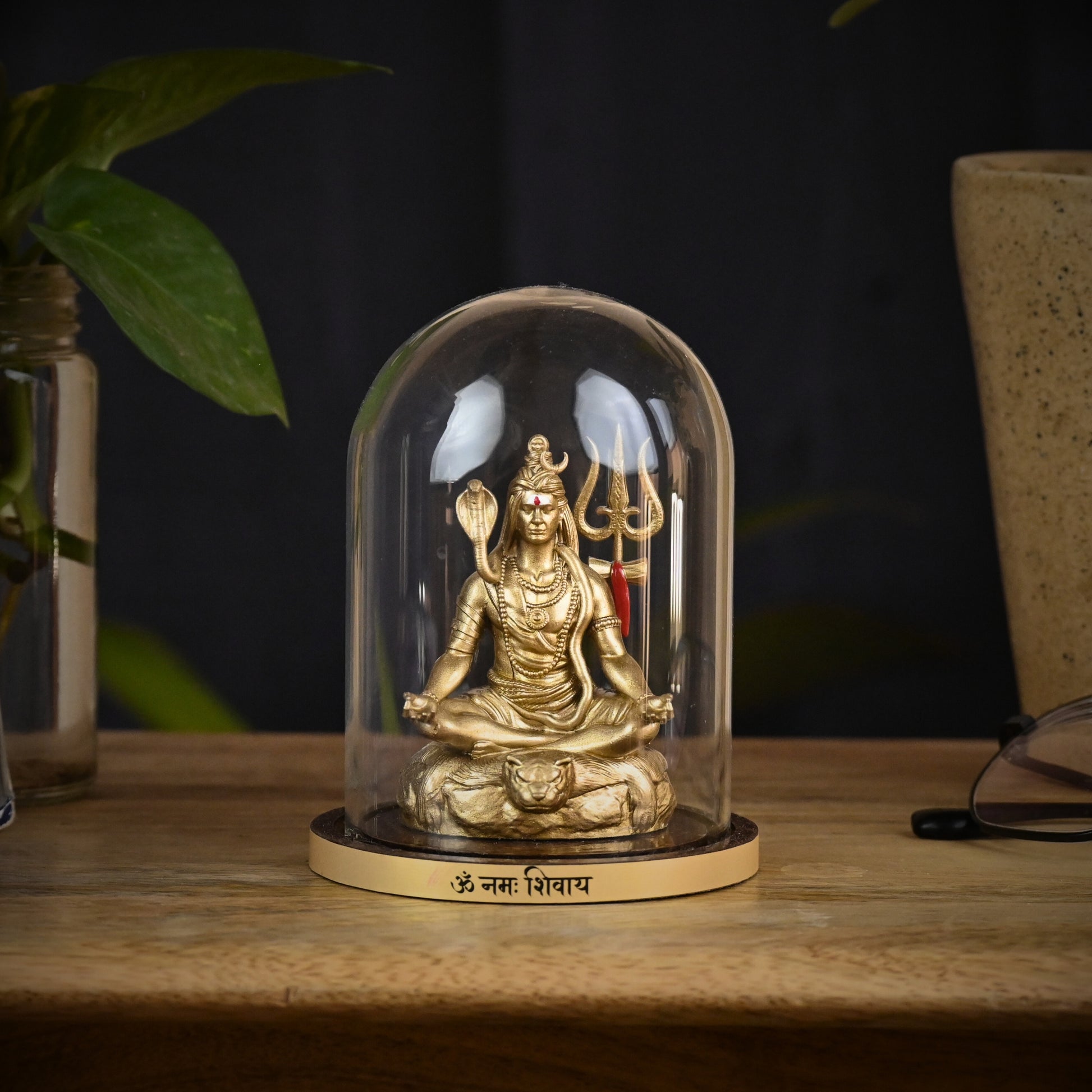 TAPASVI MAHADEV