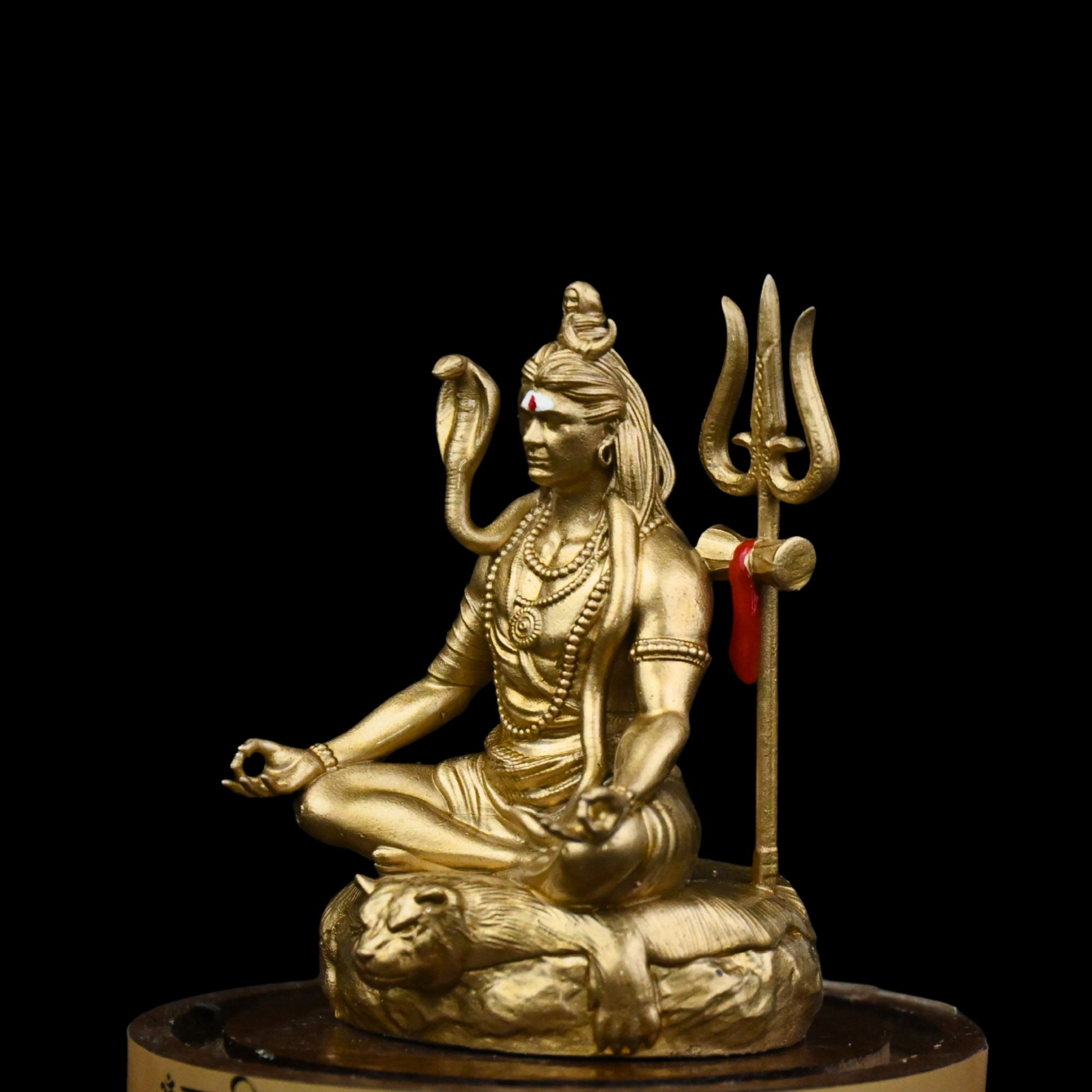 TAPASVI MAHADEV