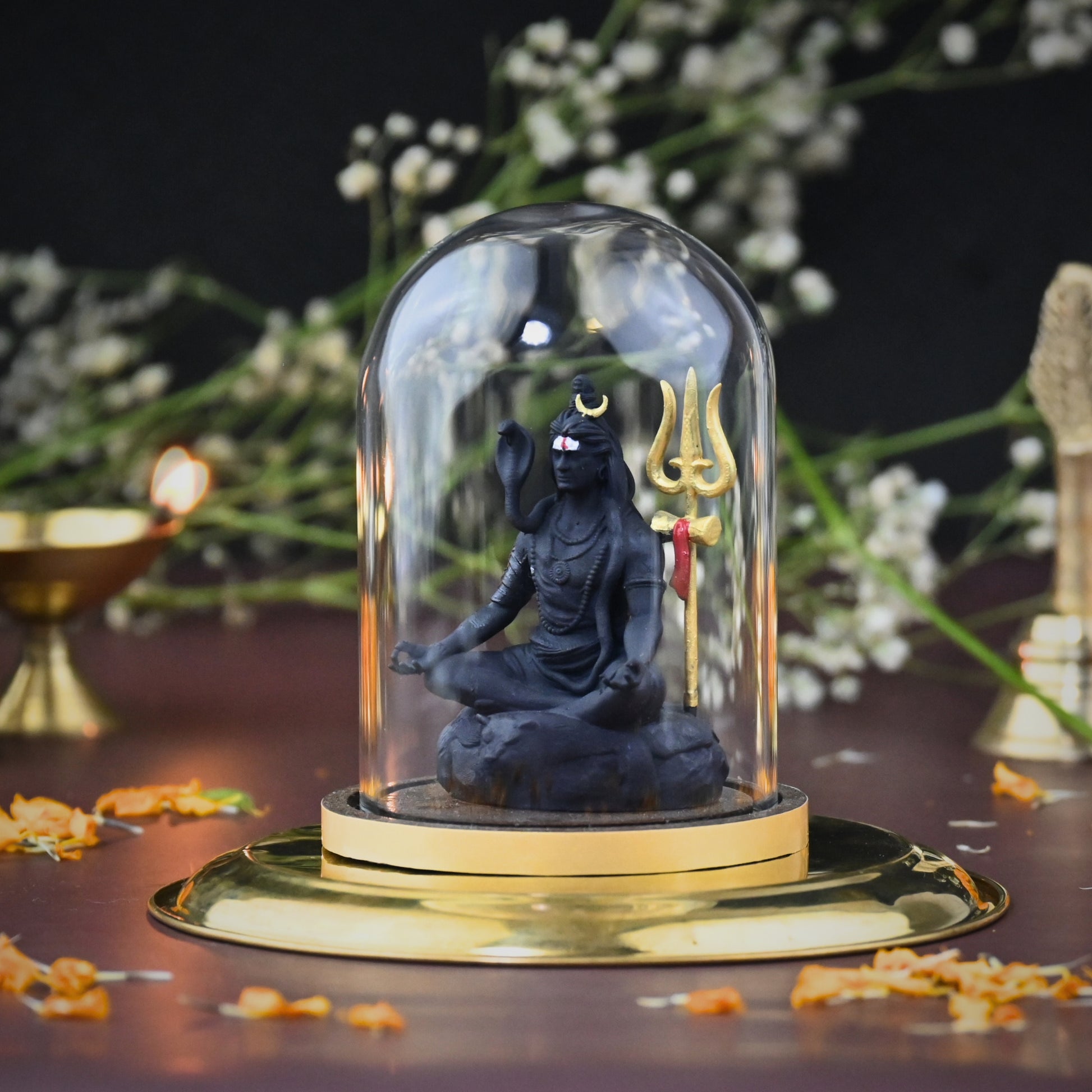 TAPASVI MAHADEV