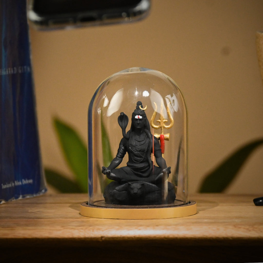 TAPASVI MAHADEV