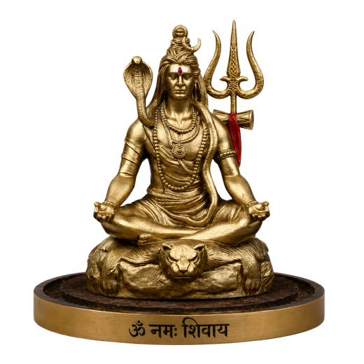 TAPASVI MAHADEV